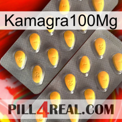 Kamagra100Mg cialis2